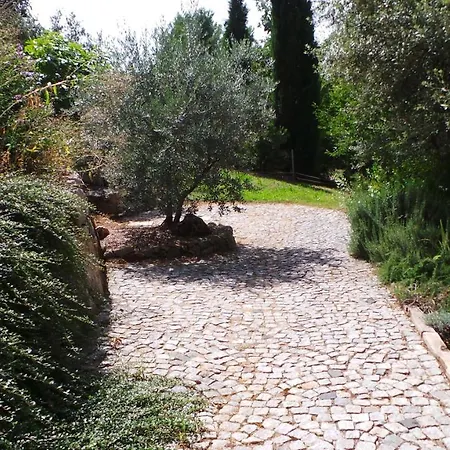 Villa Propriete : 300 M² + Beaurecueil